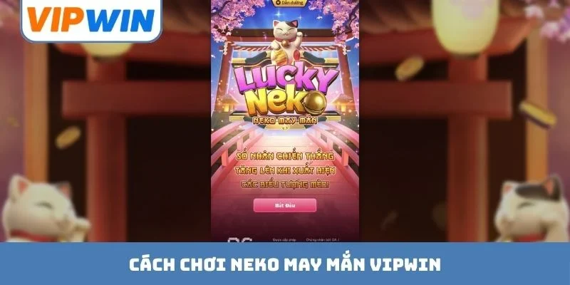 Neko May Mắn VIPWIN - Thỏa Sức Săn Lùng Phần Thưởng Lớn