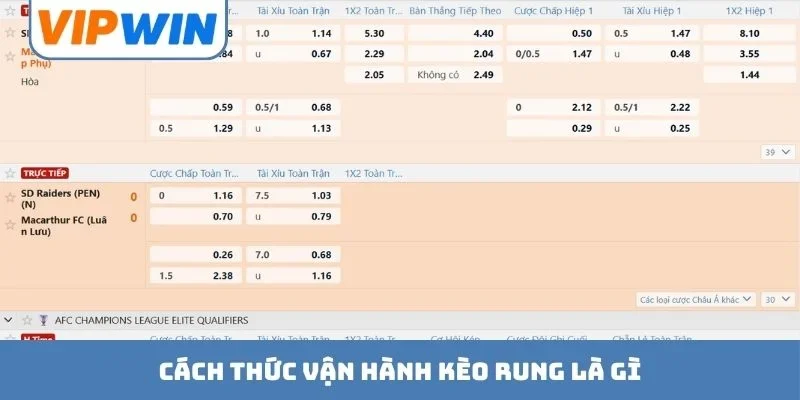 Cách thức vận hành kèo rung là gì