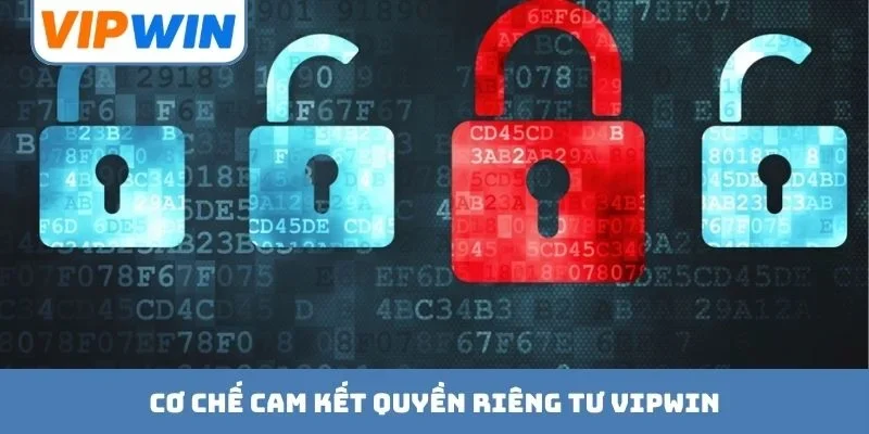 Cơ chế cam kết quyền riêng tư VIPWIN