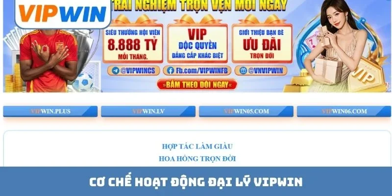 Cơ chế hoạt động đại lý VIPWIN