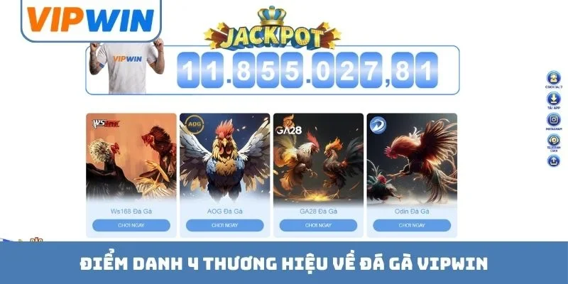 Điểm danh 4 thương hiệu về đá gà VIPWIN